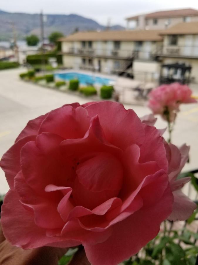 Osoyoos Lakeview Inn & Suites Exteriér fotografie
